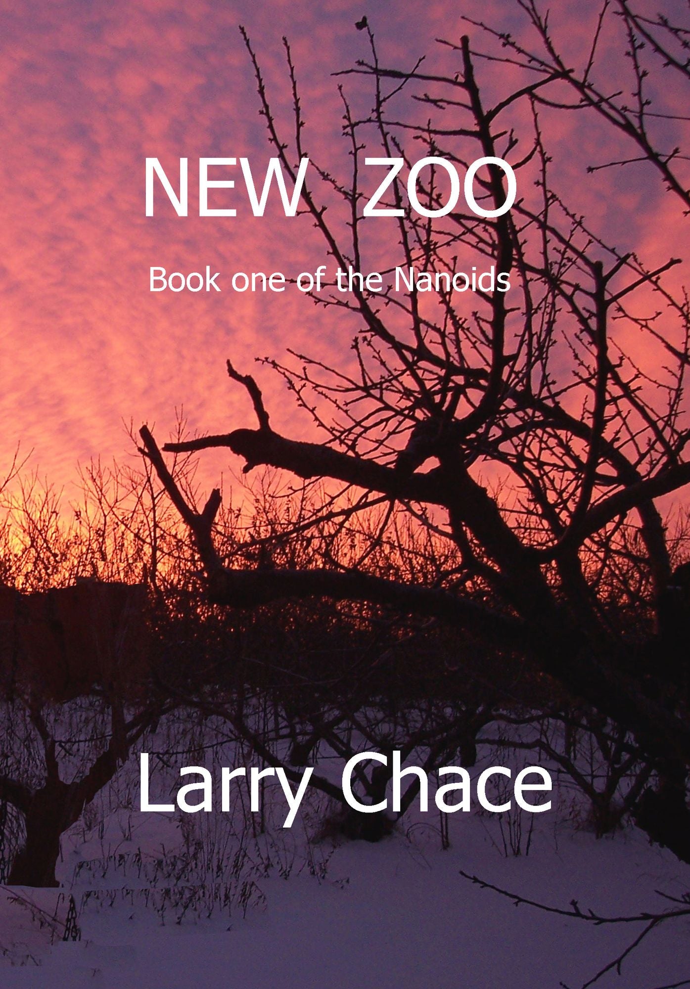 New Zoo