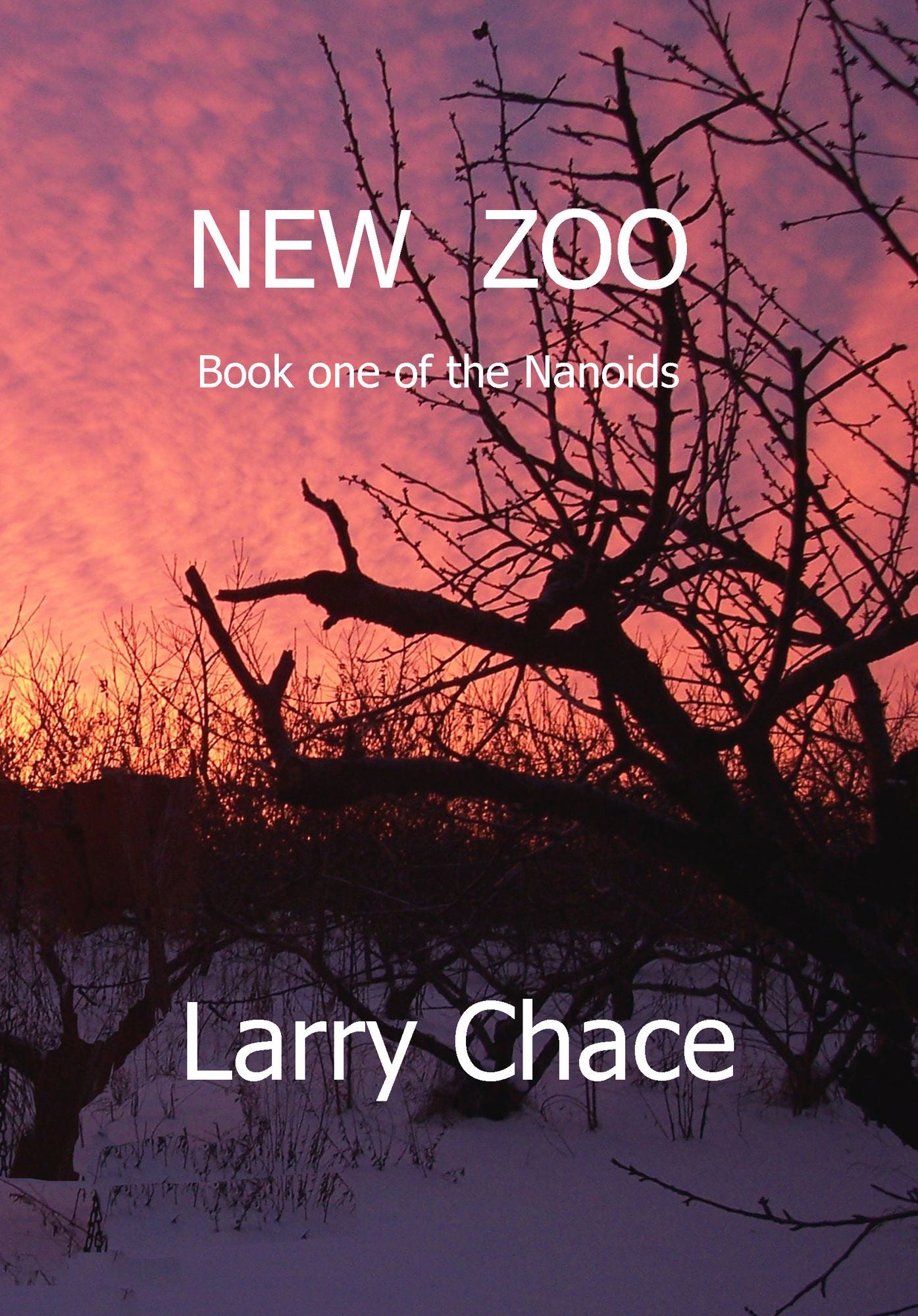 New Zoo