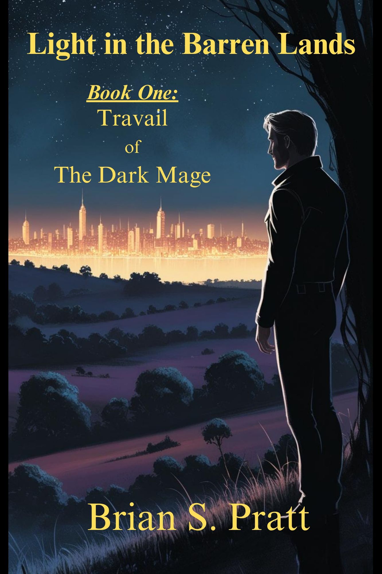 Light in the Barren Lands (Travail of the Dark Mage Series #1)