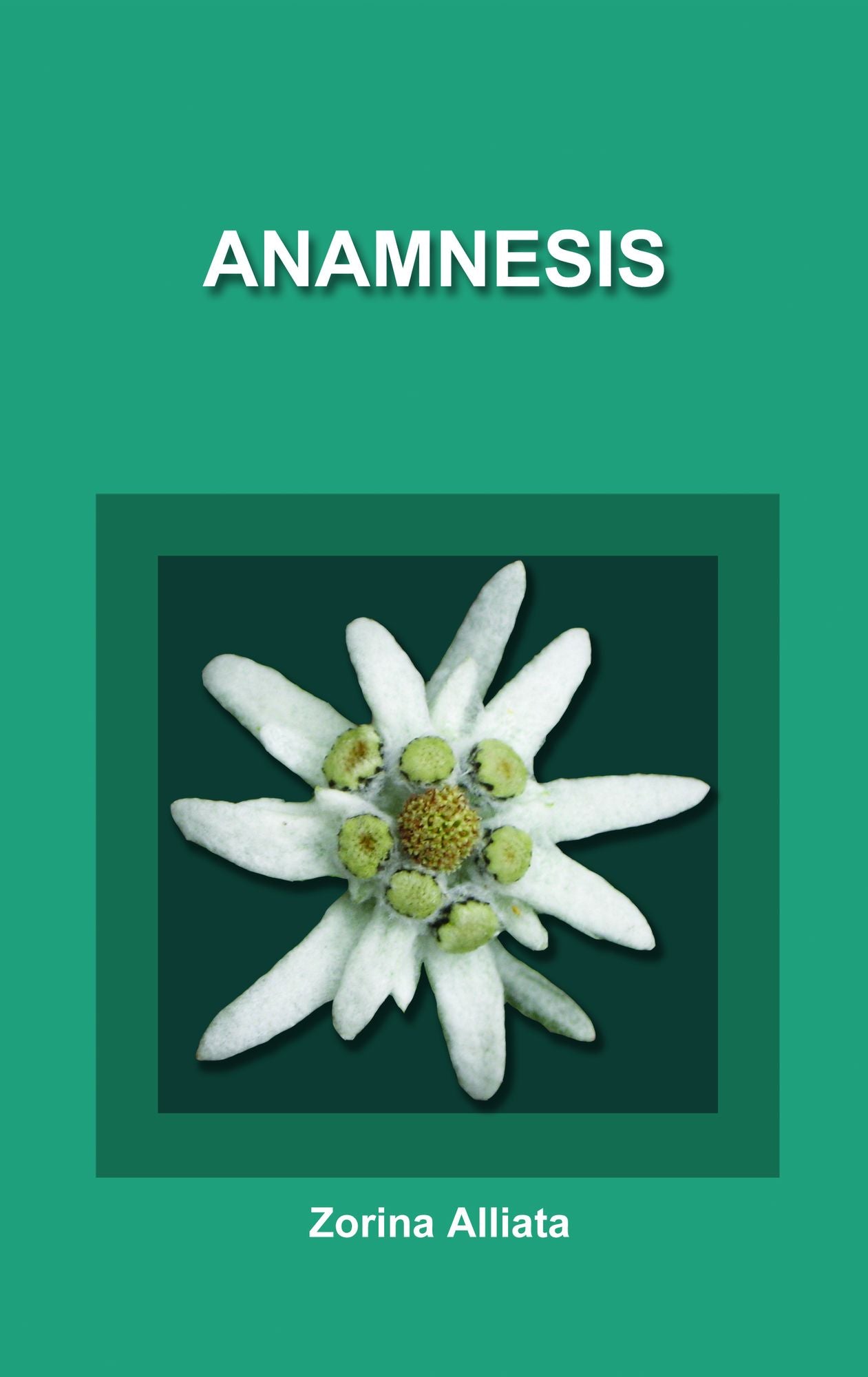 Anamnesis
