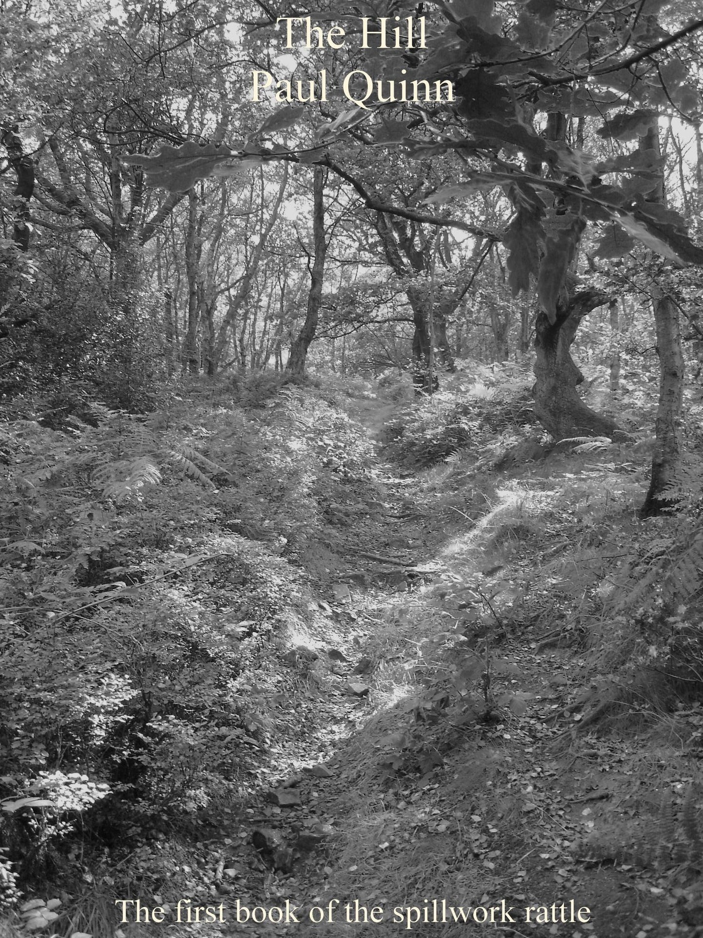 The Hill