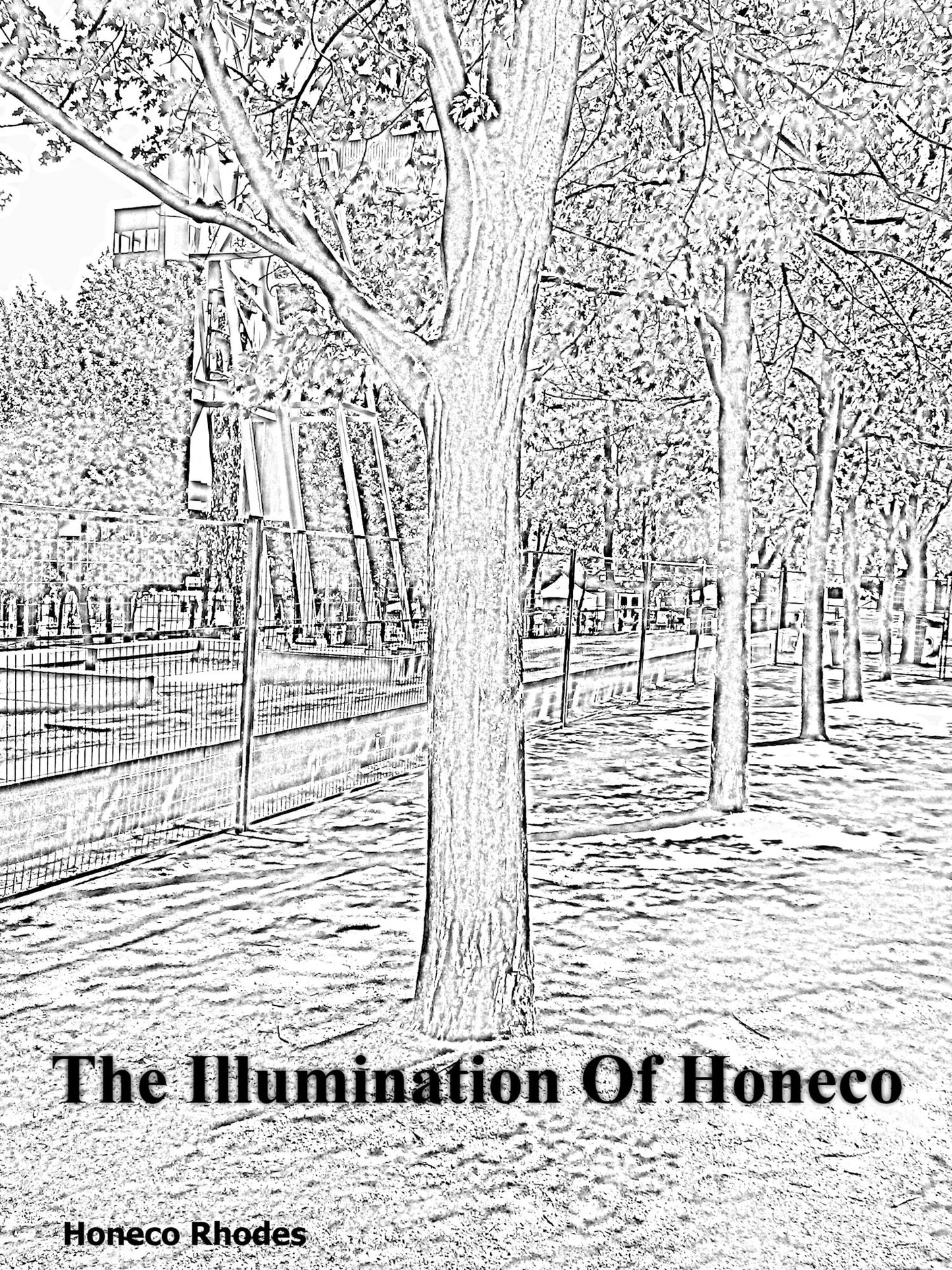 The Illumination of Honeco
