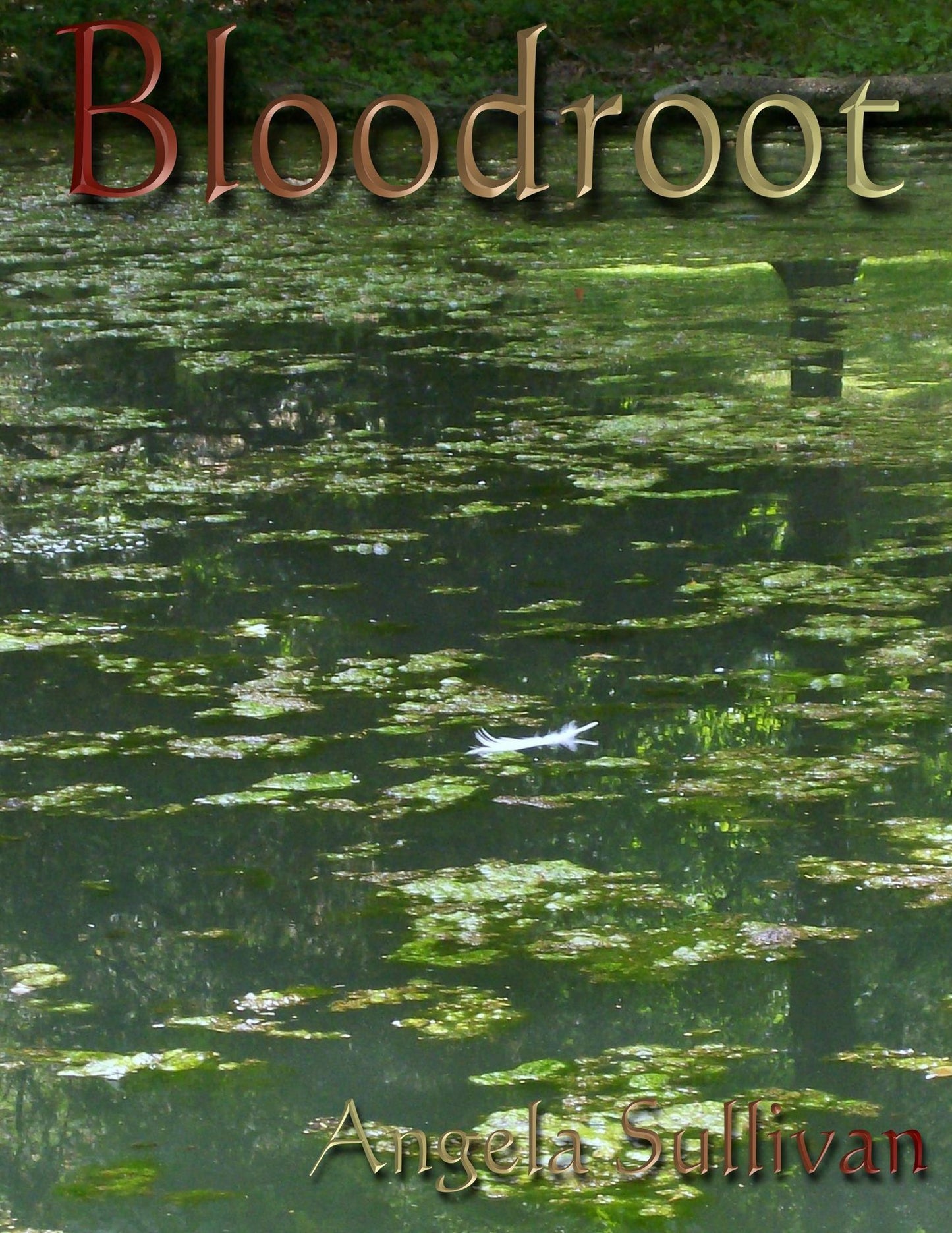 Bloodroot