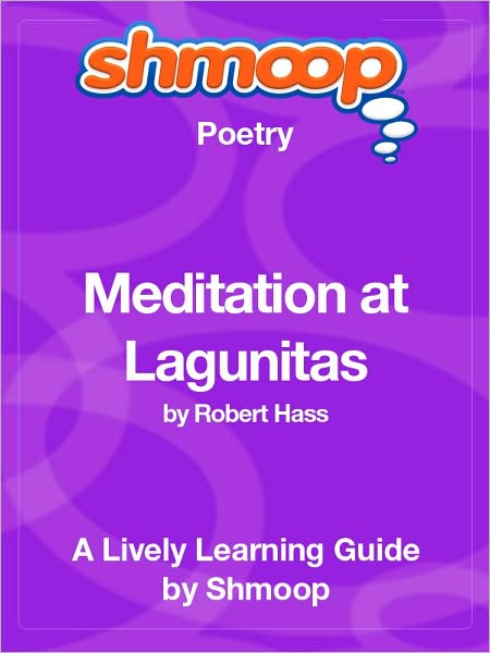 Meditation at Lagunitas - Shmoop Poetry Guide