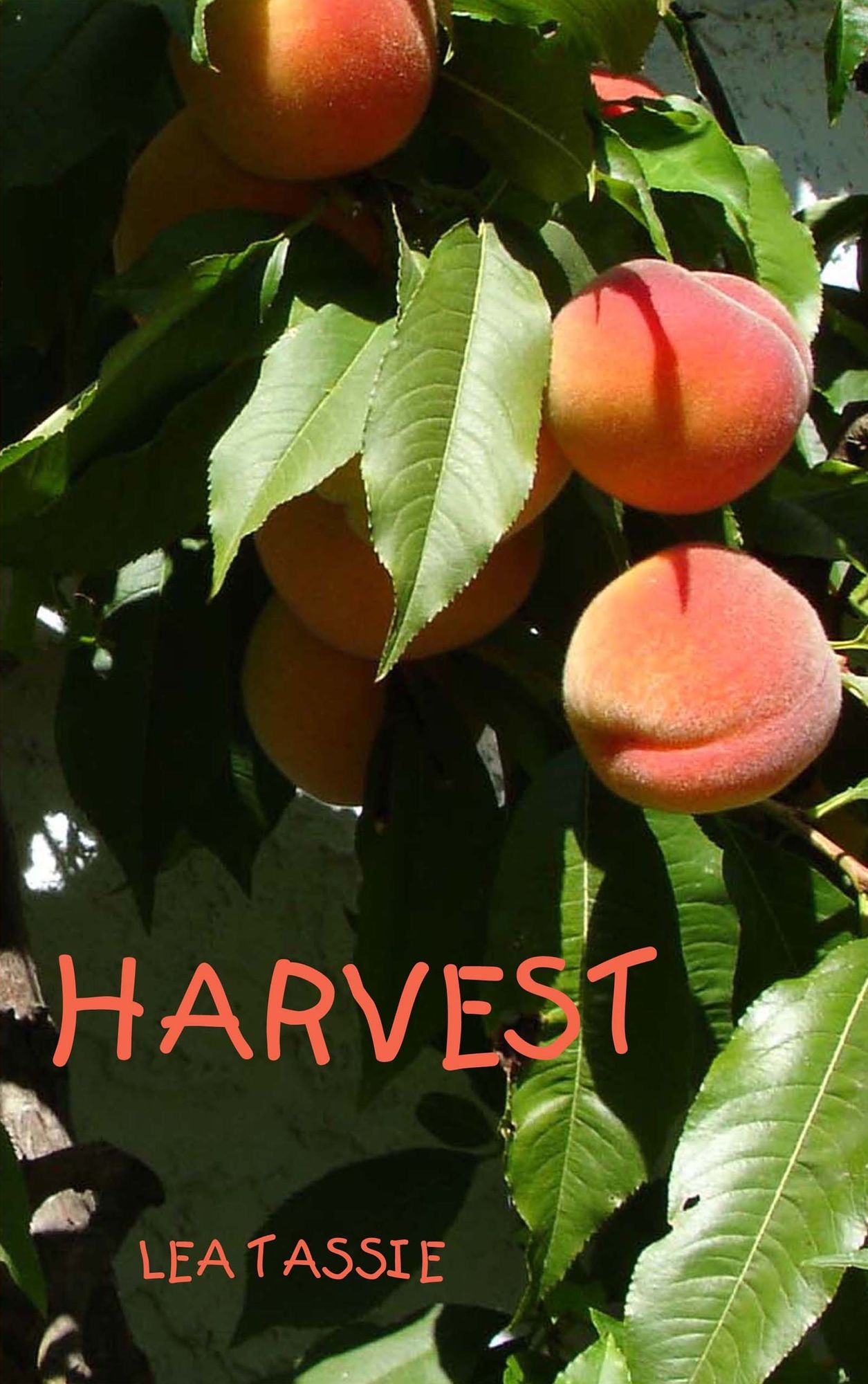 Harvest