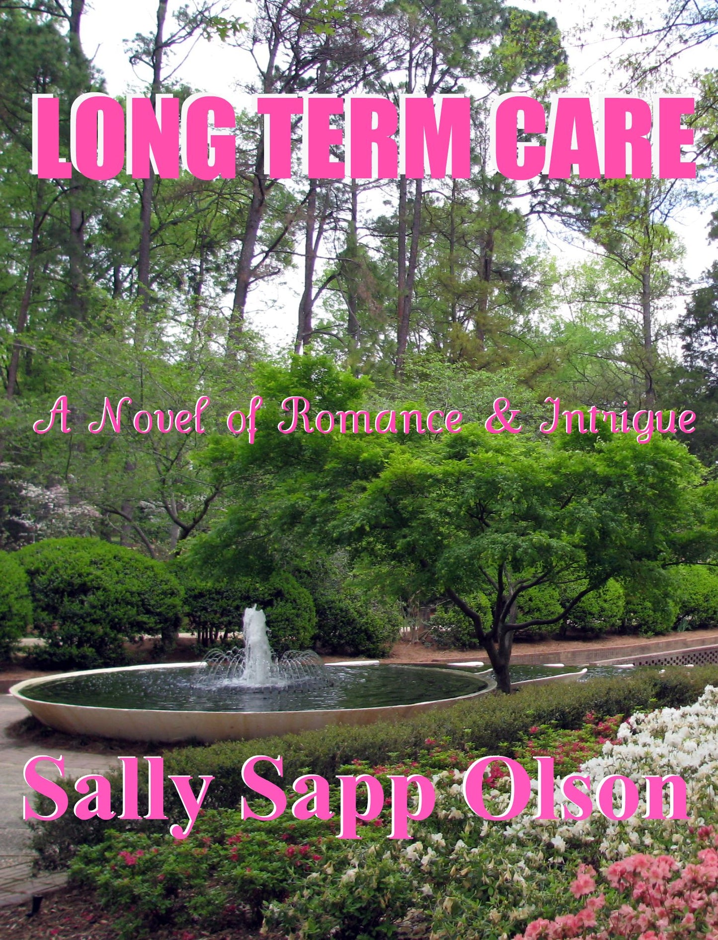 Long Term Care