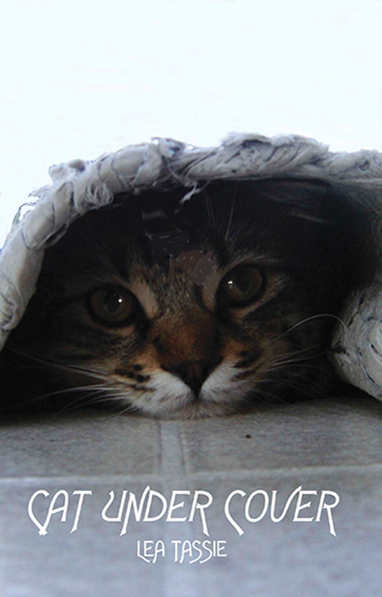 Cat Under Cover