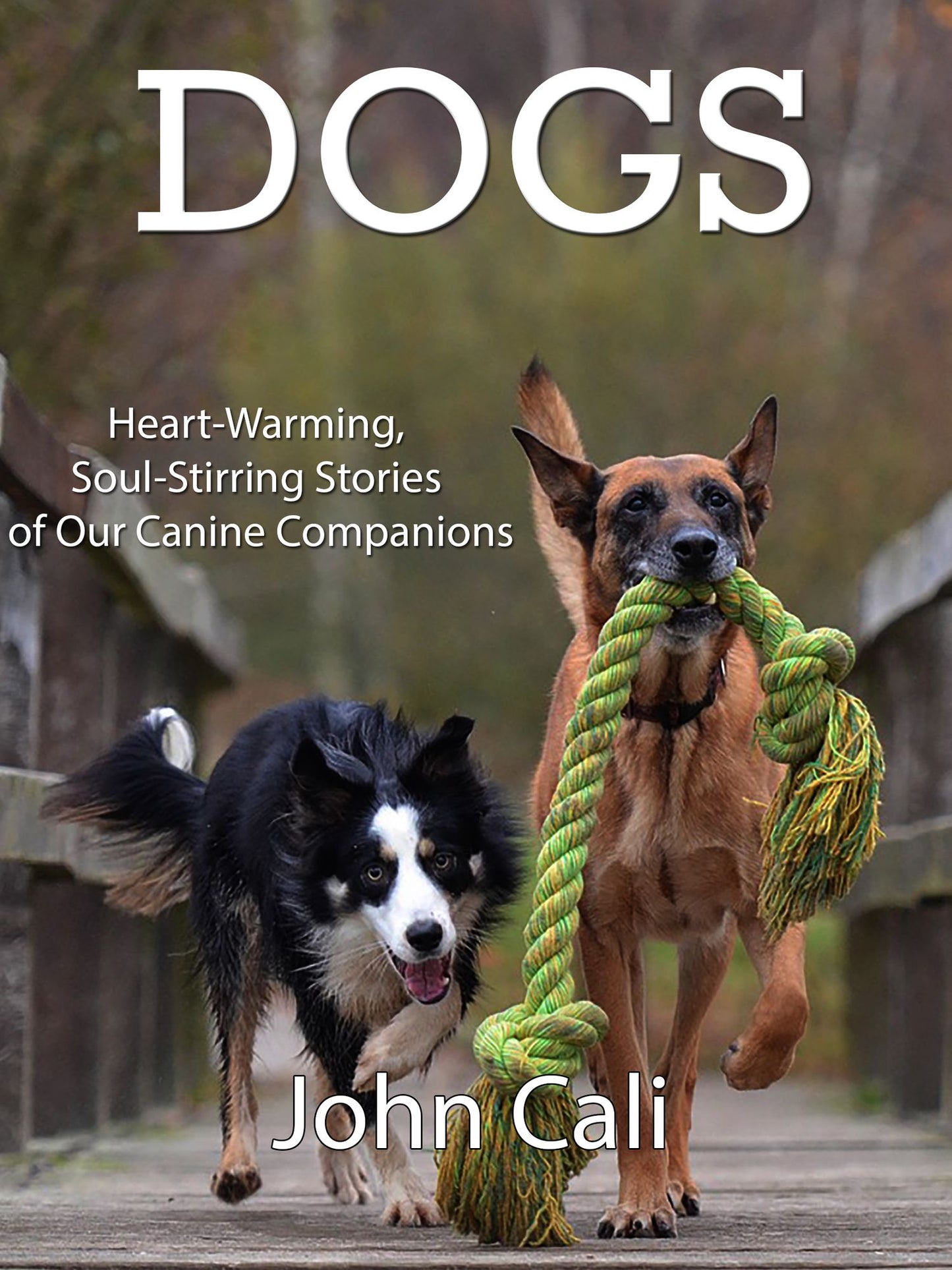 Dogs: Heart-Warming, Soul-Stirring Stories of our Canine Companions