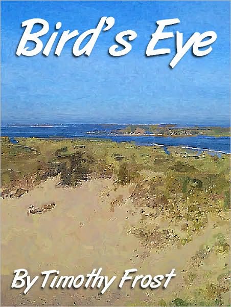 Bird's Eye