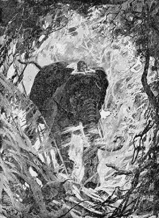 The Jungle Book, Illustrated