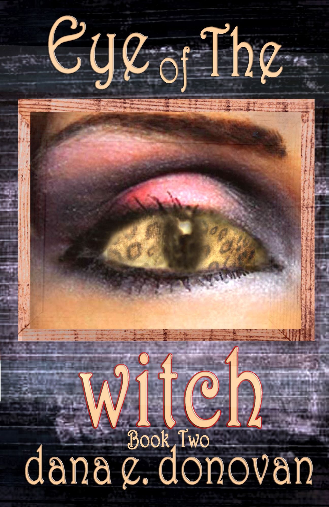 Eye of the Witch (Paranormal Detective Mystery series, book 2)