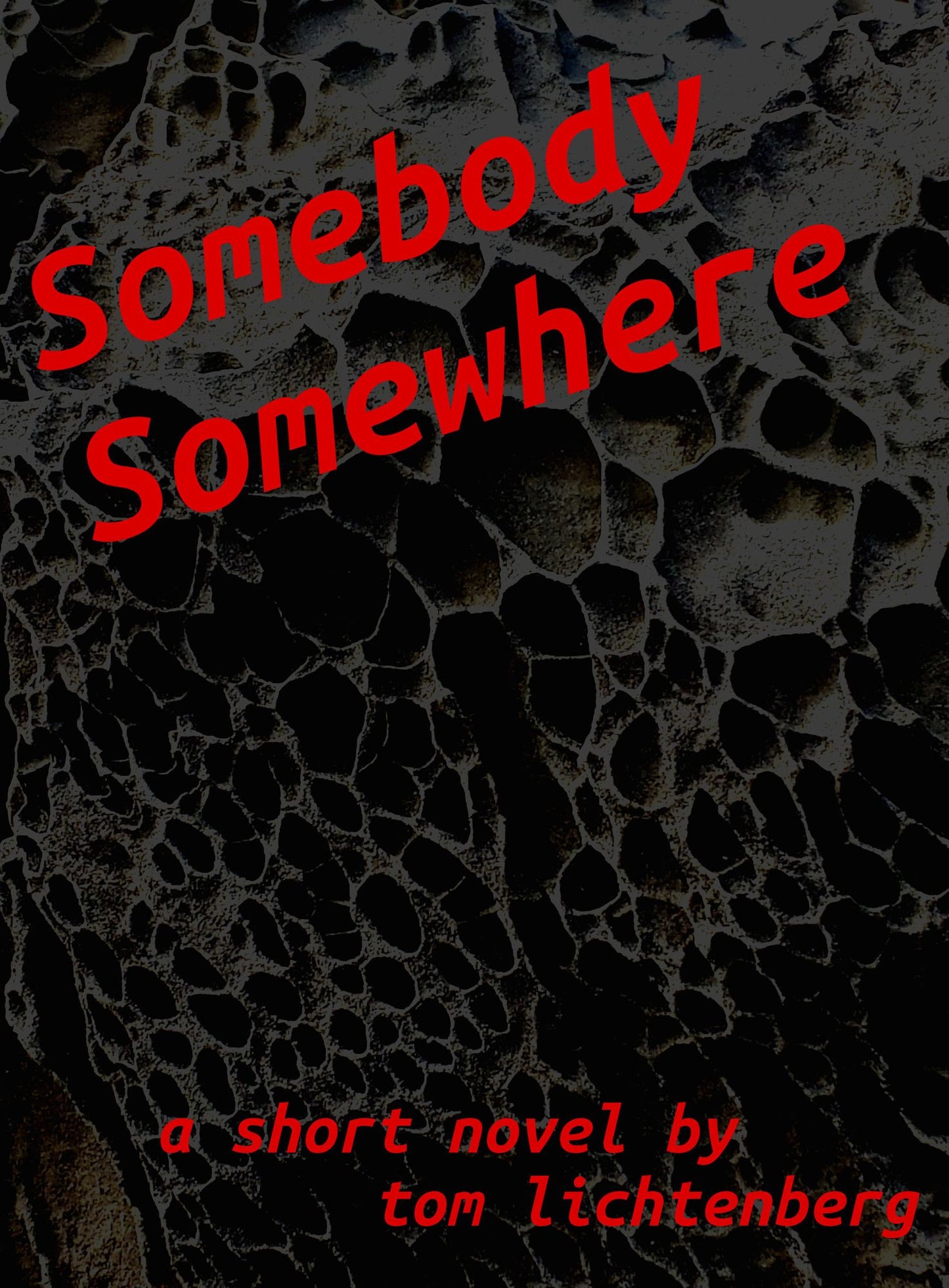 Somebody Somewhere