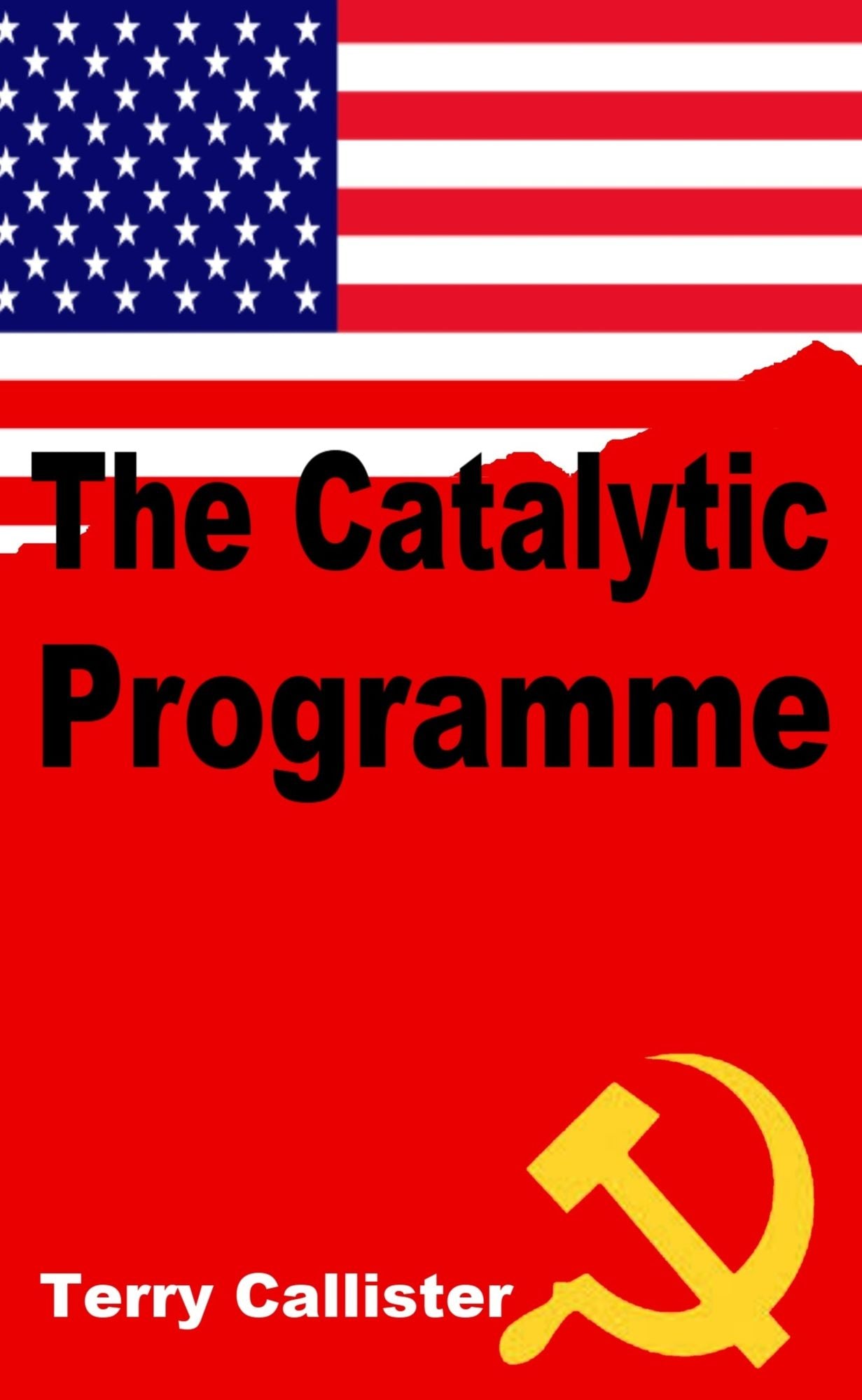 The Catalytic Programme