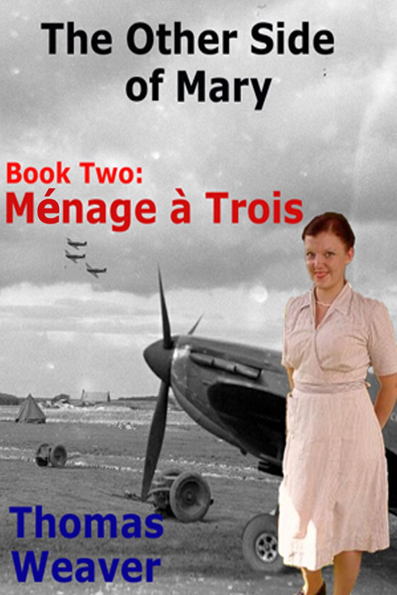 The Other Side of Mary, Book 2: Ménage à Trois