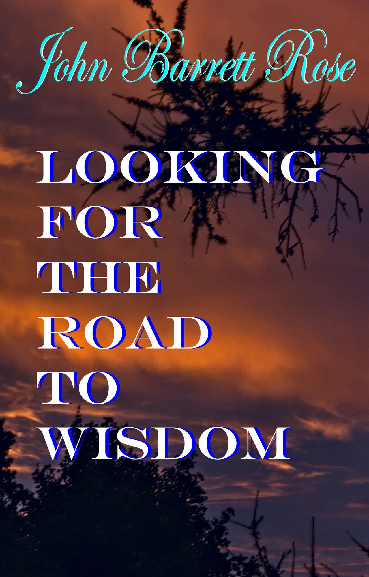 Looking For The Road To Wisdom