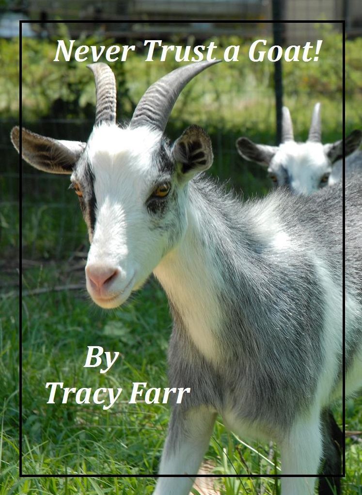 Never Trust a Goat