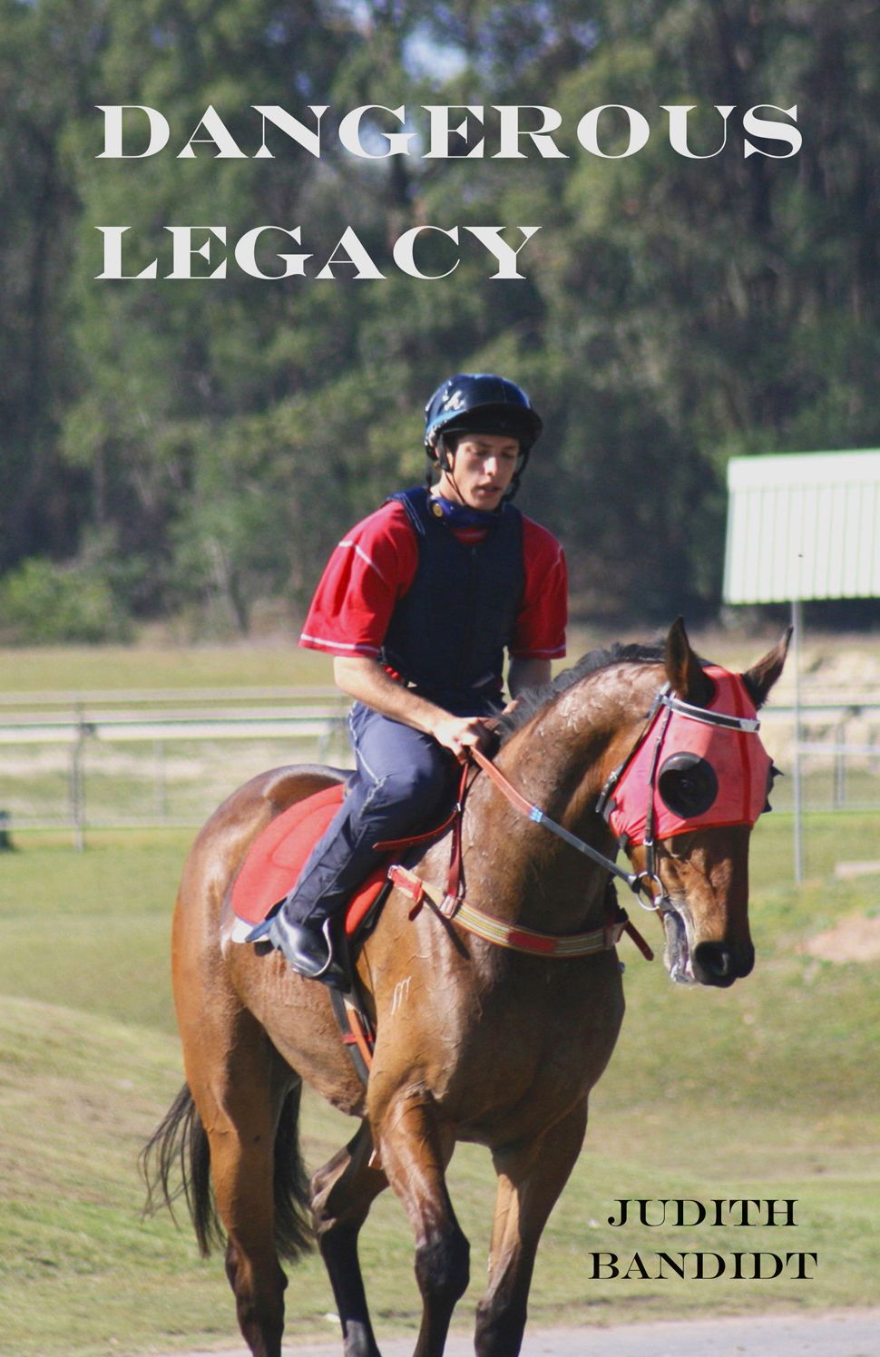 Dangerous Legacy