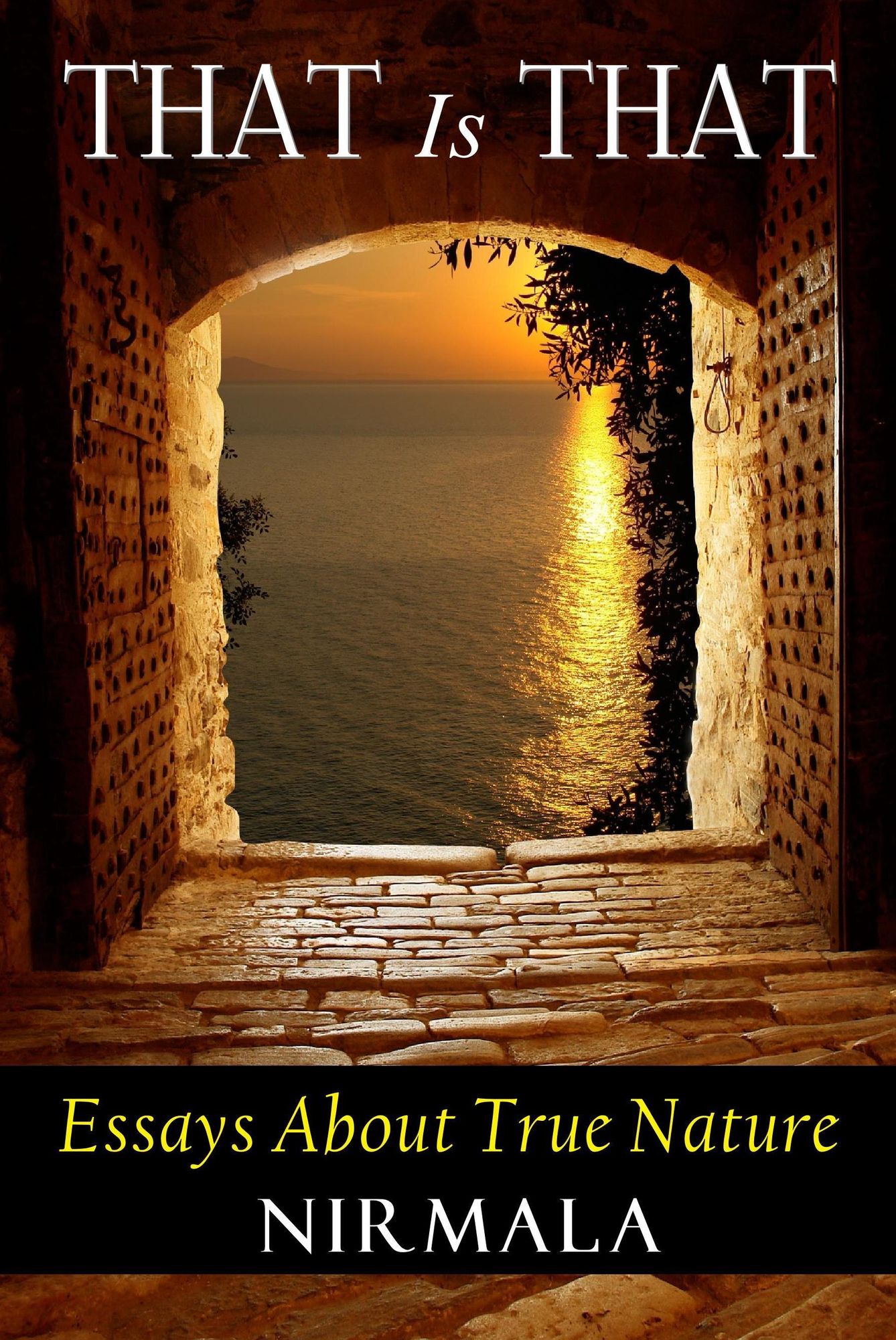 That Is That: Essays About True Nature