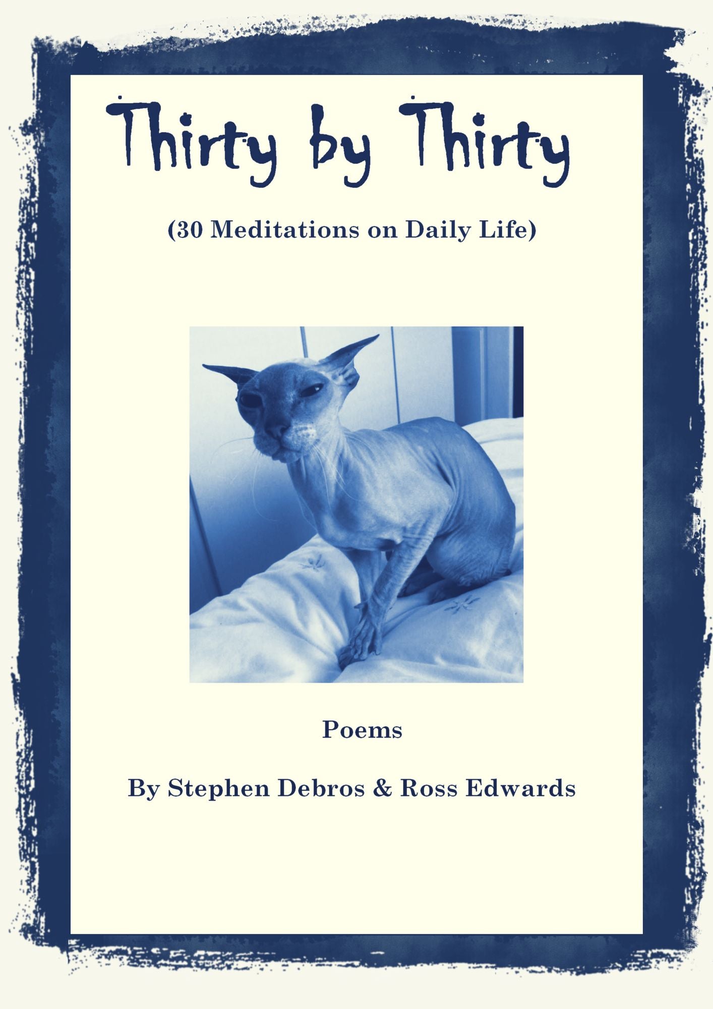 Thirty by Thirty (30 meditations on daily life)