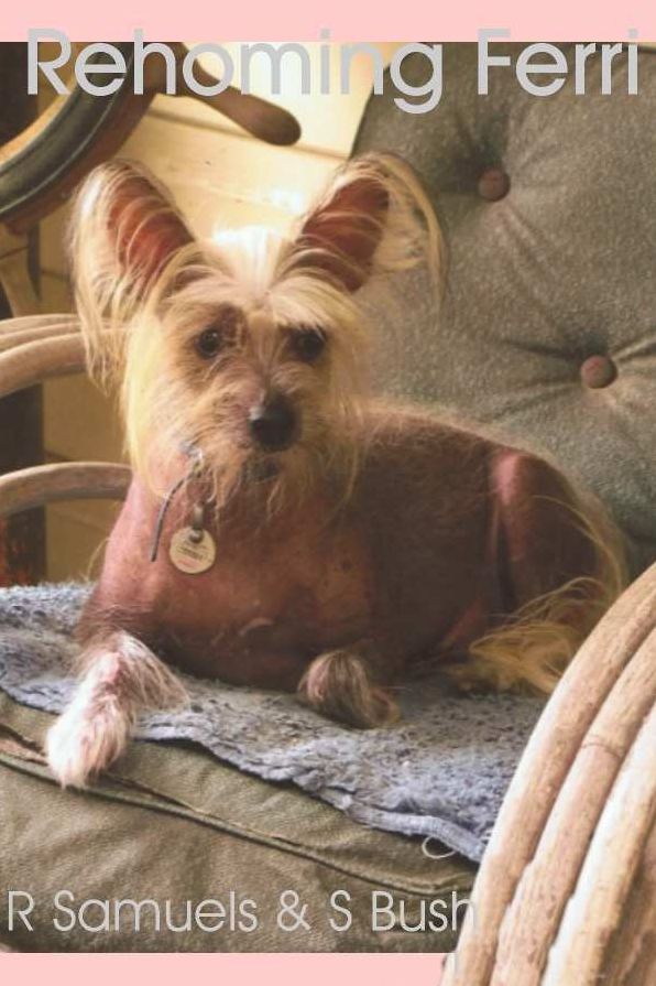 Rehoming Ferri