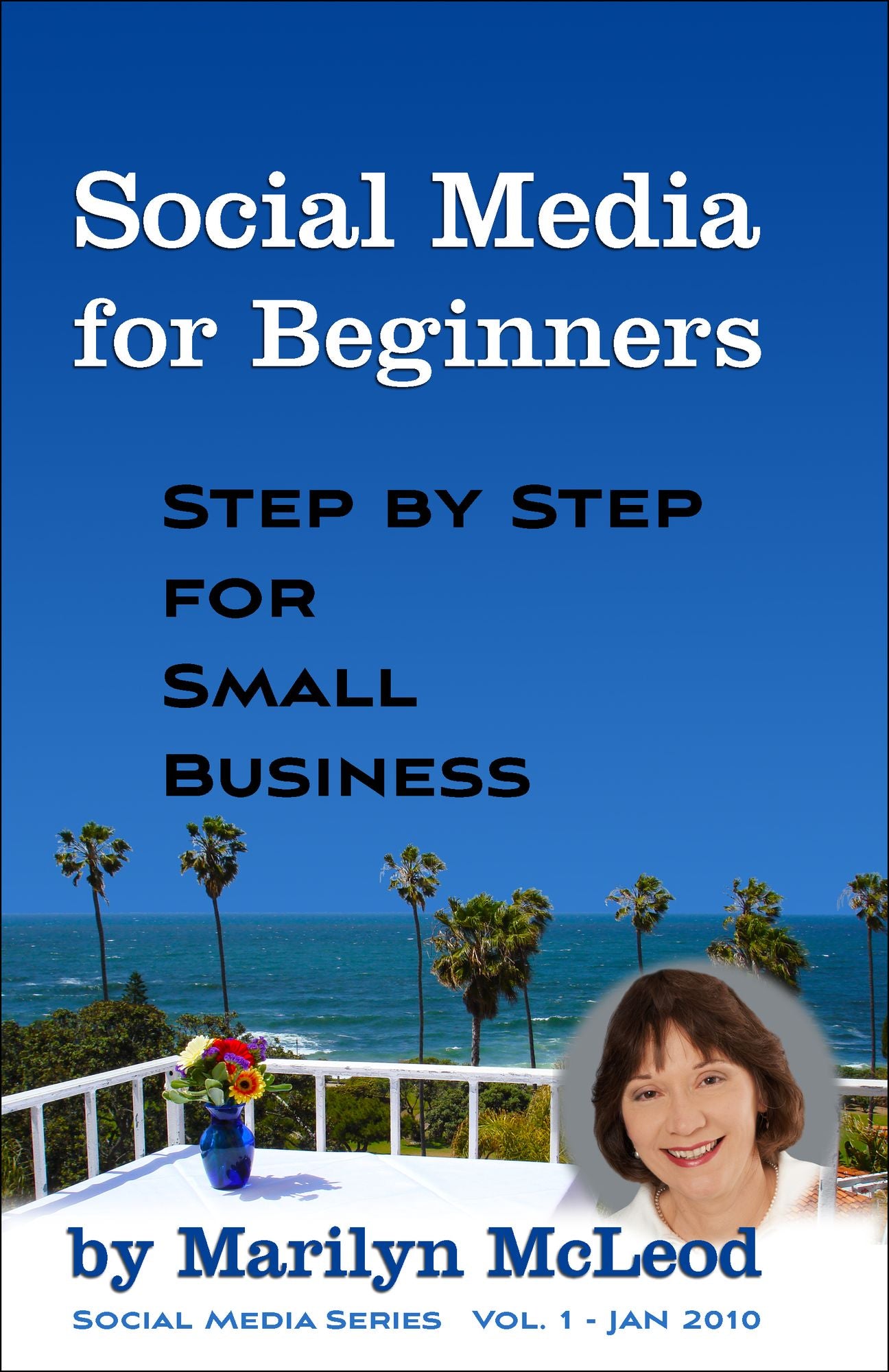 Social Media for Beginners: Step by Step for Small Business