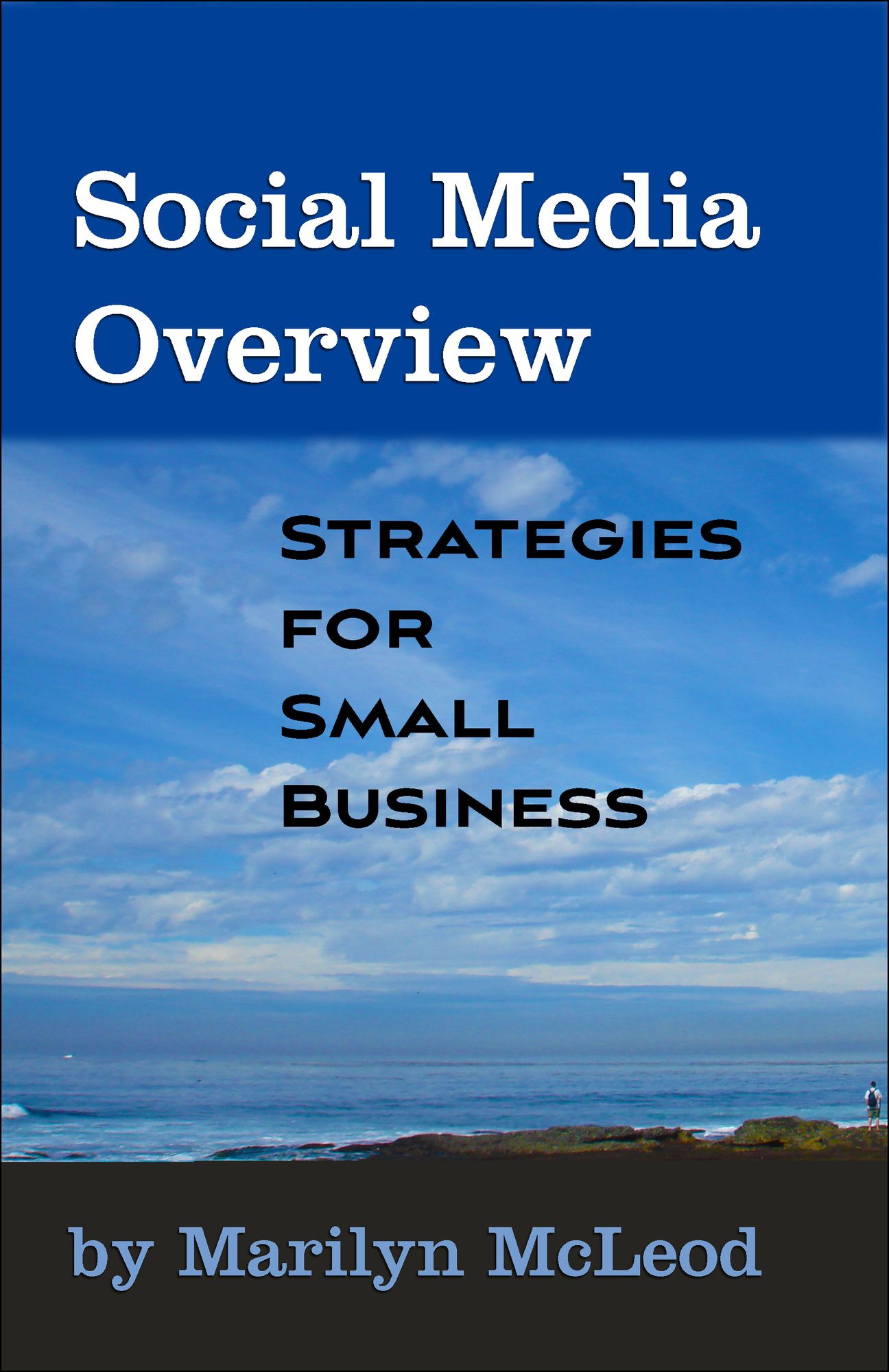 Social Media Overview: Strategies for Small Business