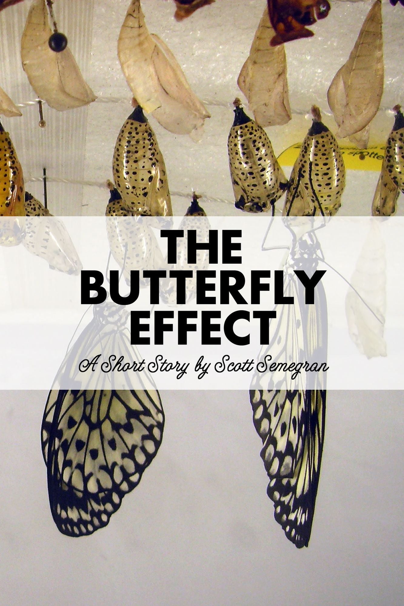 The Butterfly Effect