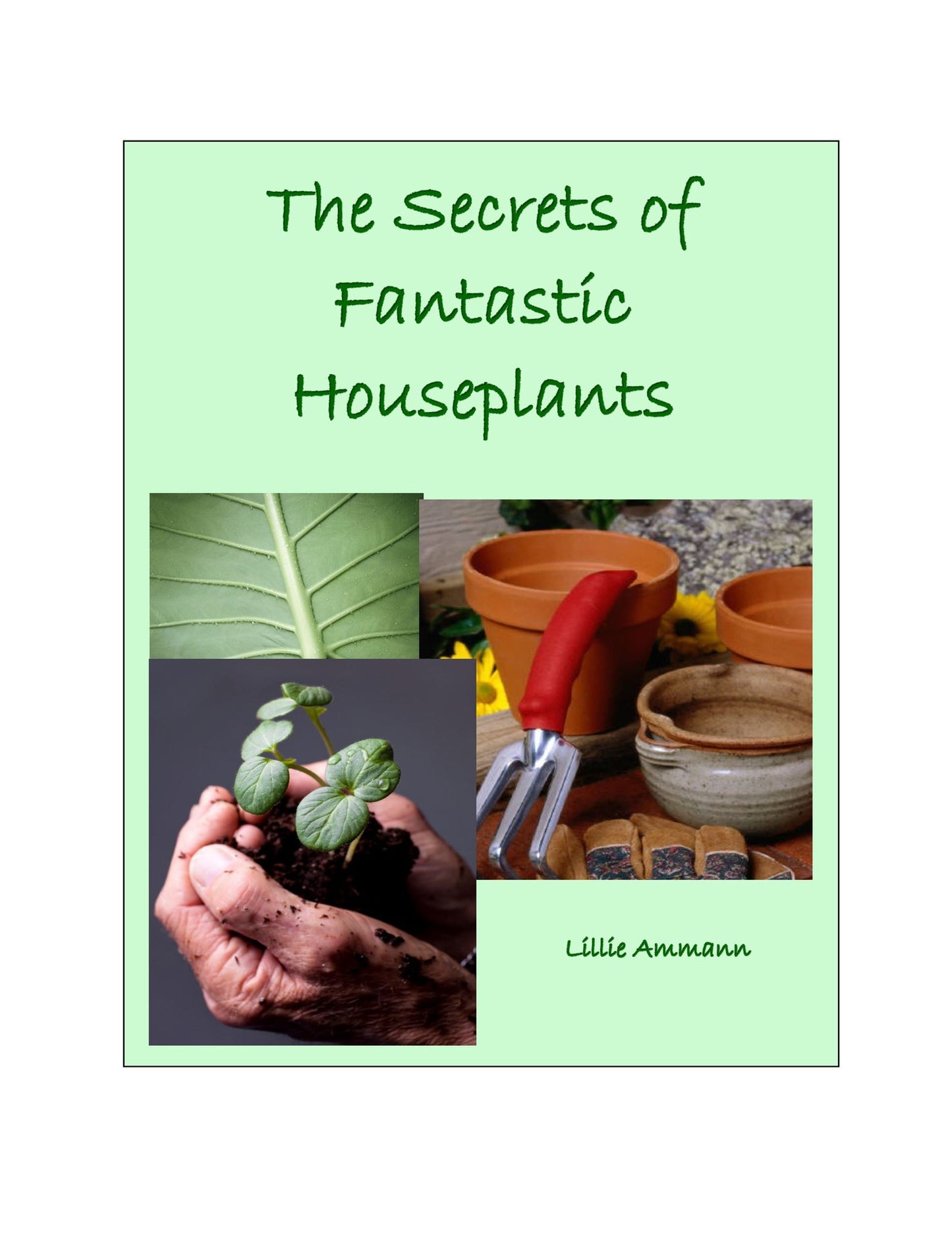 The Secrets of Fantastic Houseplants