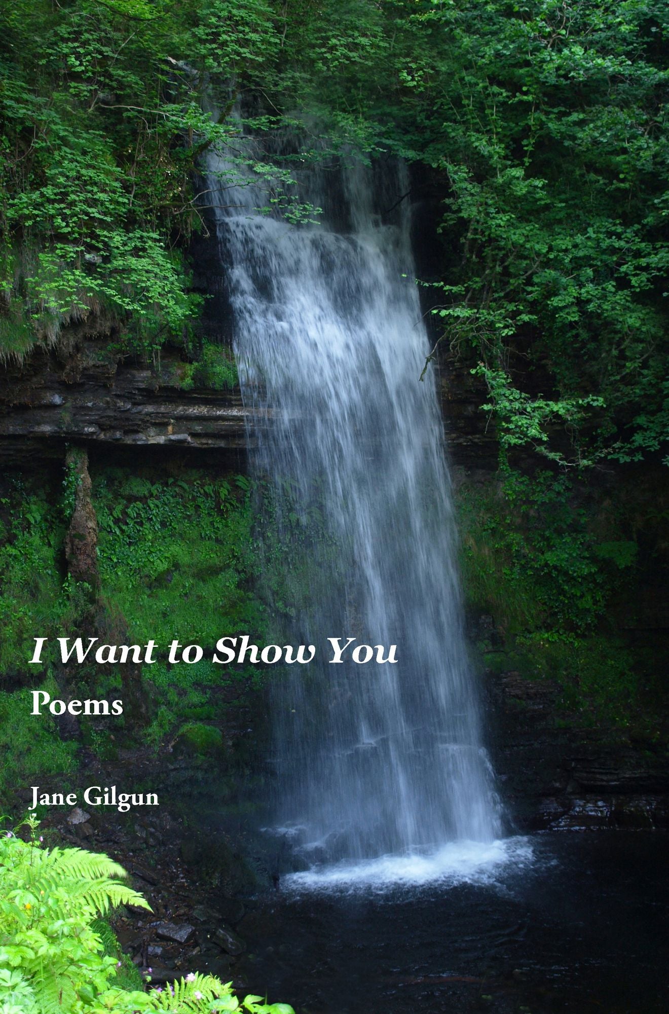 I Want to Show You: Poems