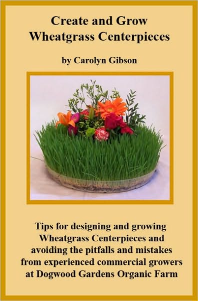 Creating and Growing Wheatgrass Centerpieces