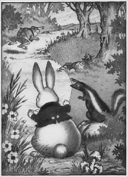 The Adventures of Old Mr. Toad, Illustrated