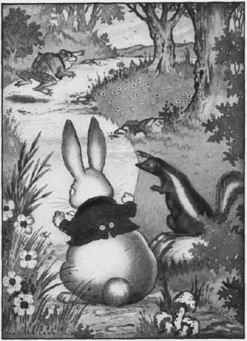The Adventures of Old Mr. Toad, Illustrated