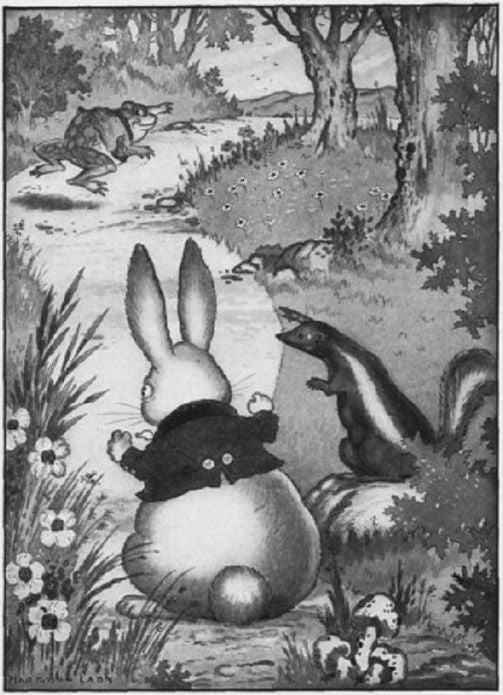 The Adventures of Old Mr. Toad, Illustrated
