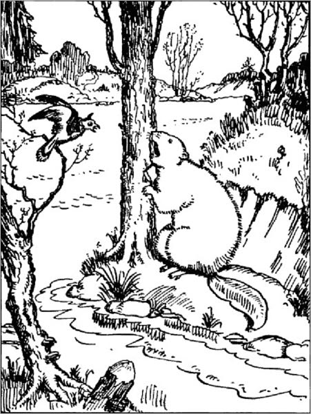 The Adventures of Paddy Beaver, Illustrated