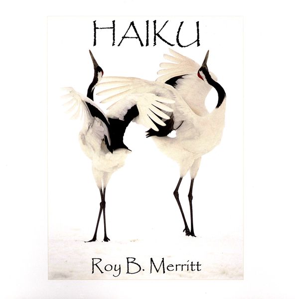 Haiku: Three-Line Short Stories