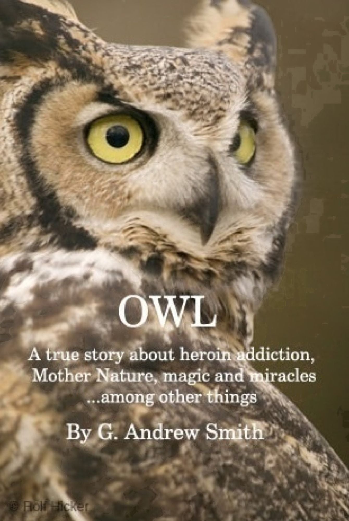 OWL A True Story About Heroin Addiction, Mother Nature, Magic and Miracles . . . Among Other Things