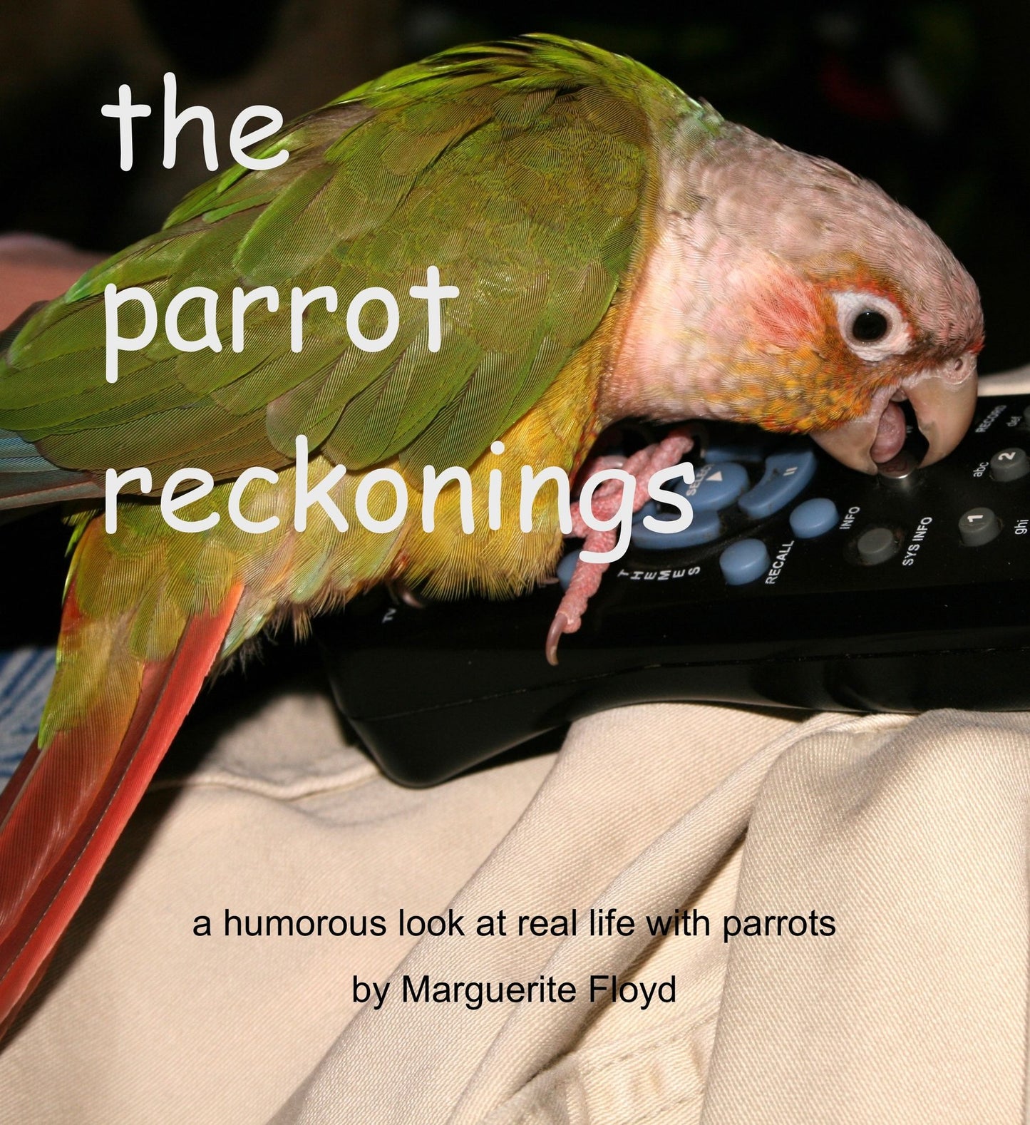 The Parrot Reckonings