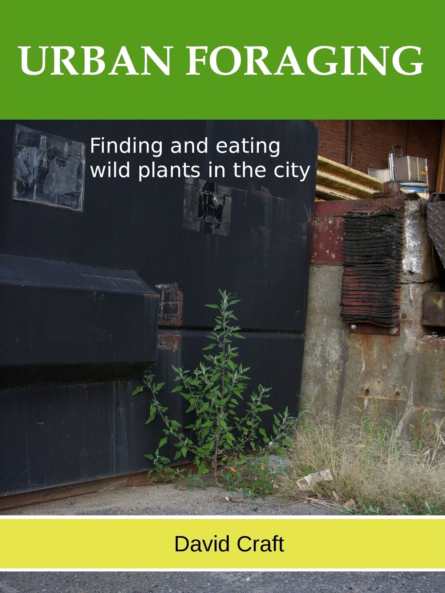 Urban Foraging