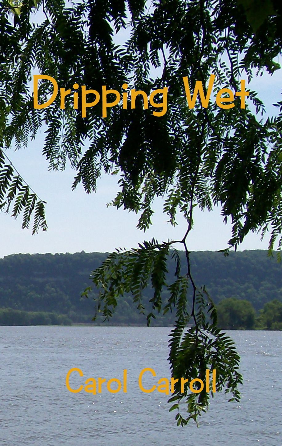 Dripping Wet