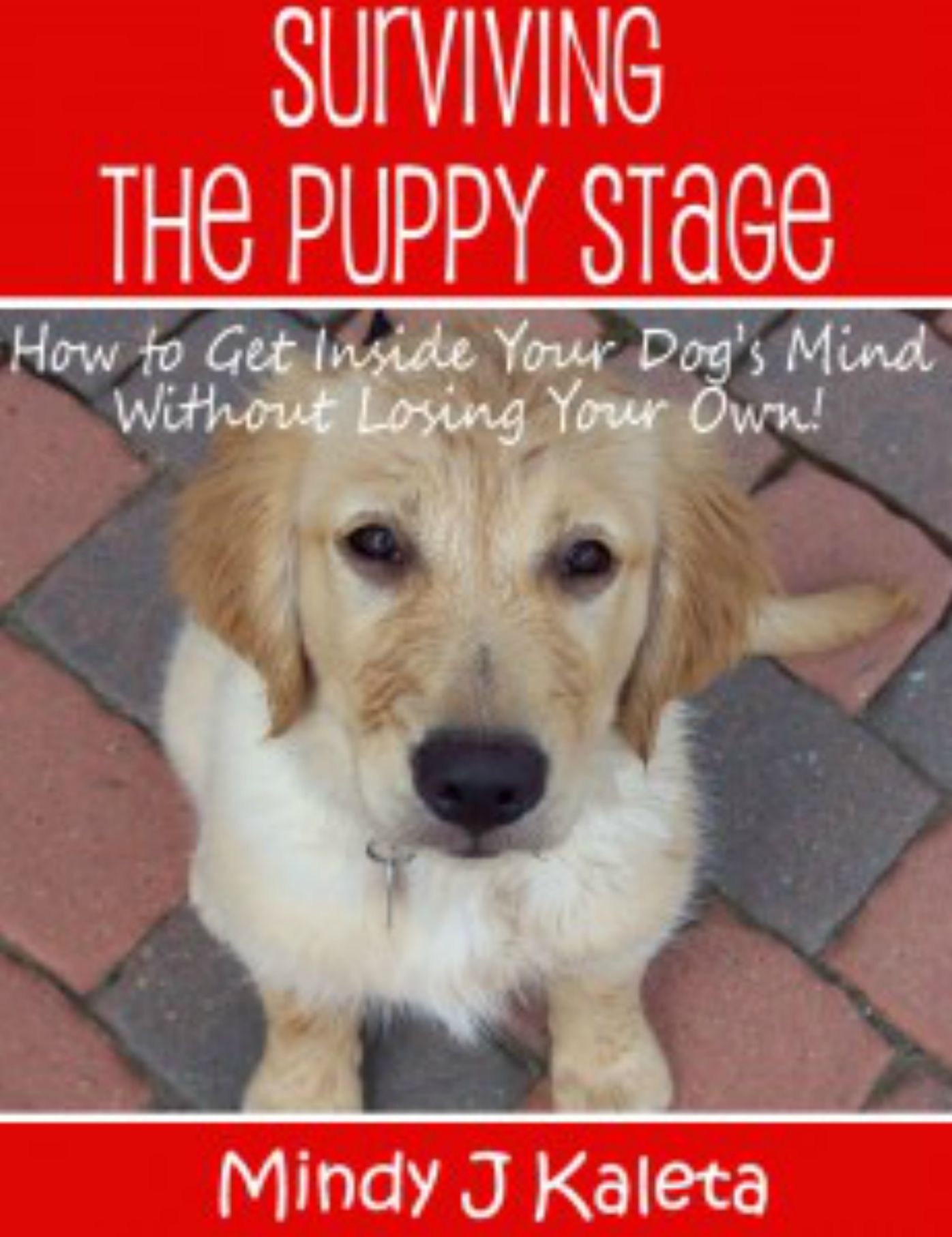 Surviving the Puppy Stage, How to Get Inside Your Dog's Mind Without Losing Your Own!