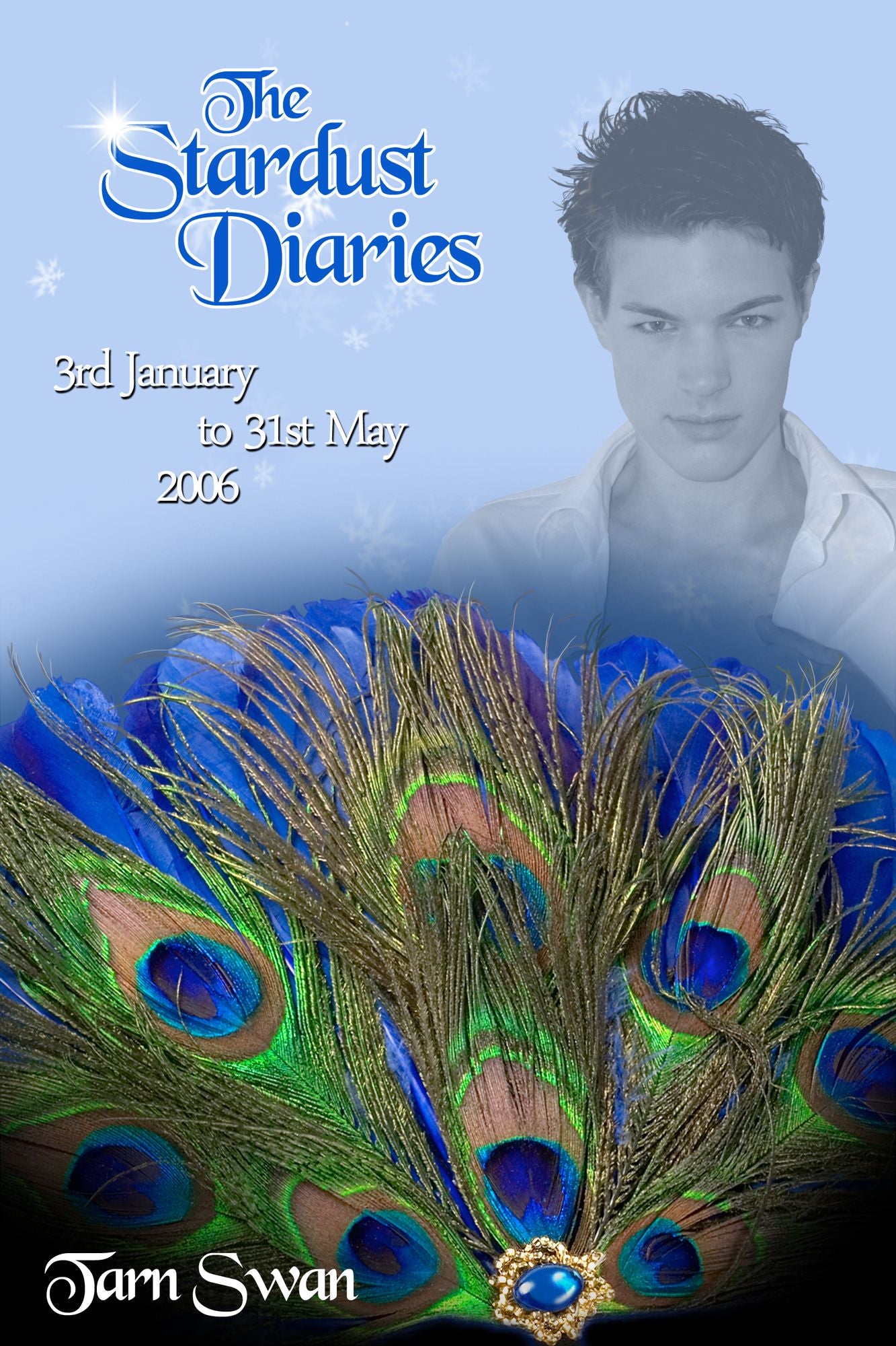 The Stardust Diaries