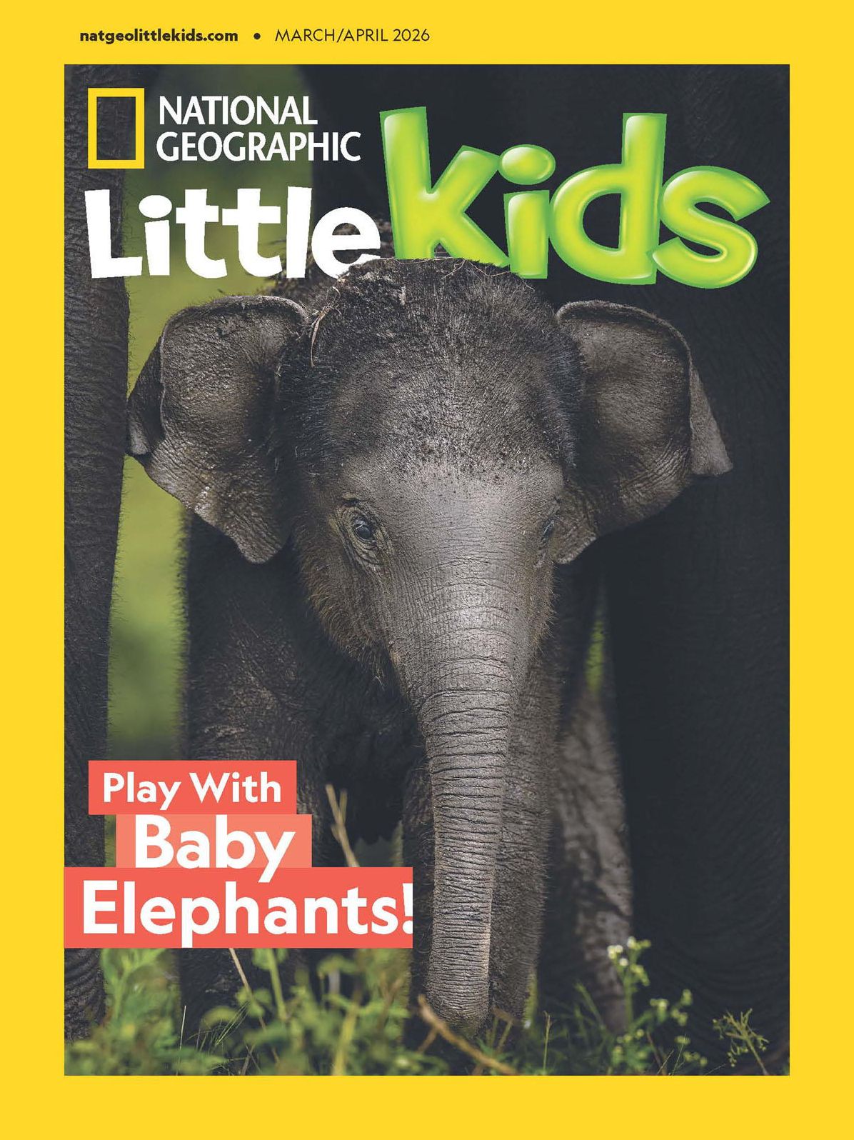 National Geographic Little Kids