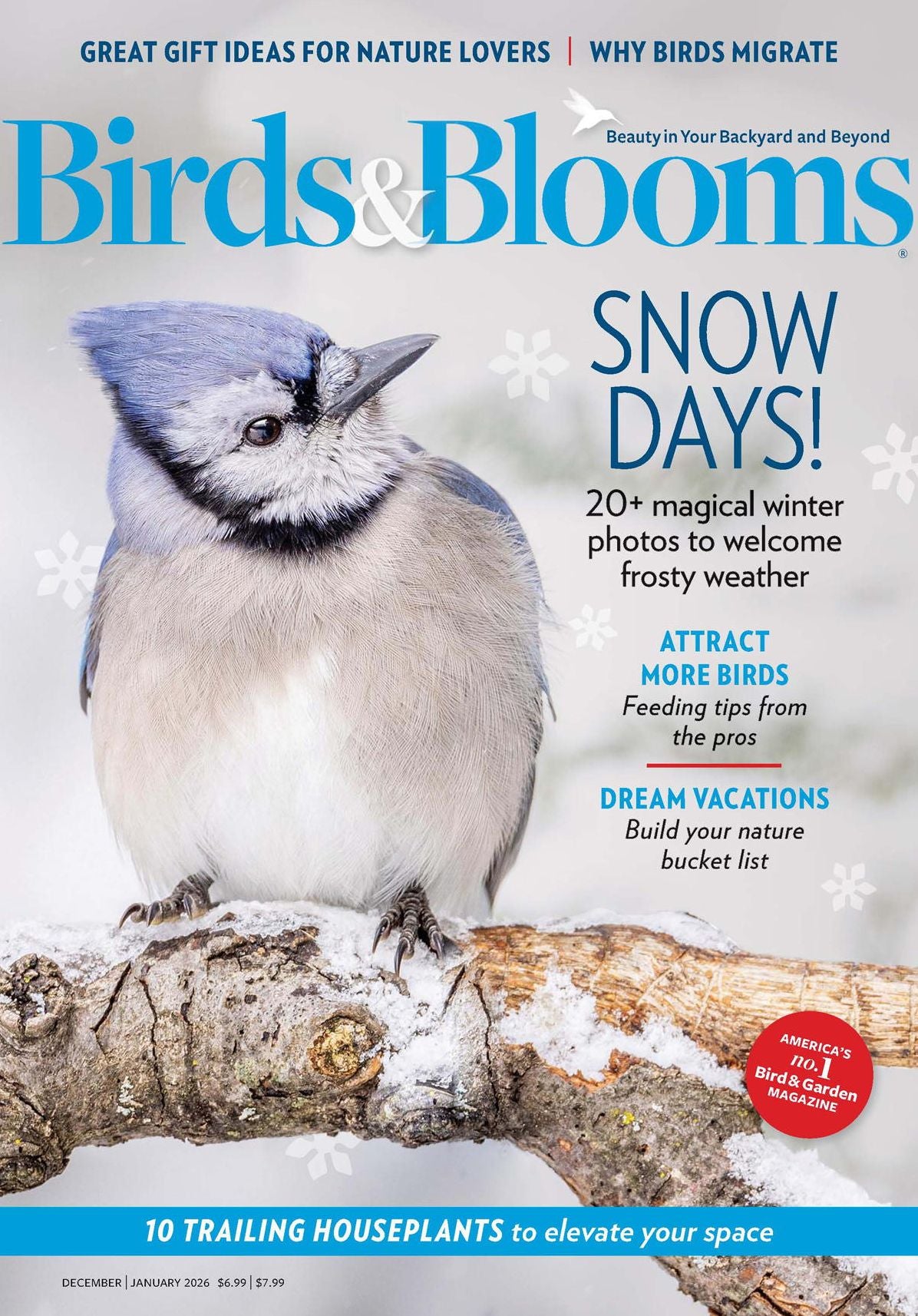 Birds & Blooms