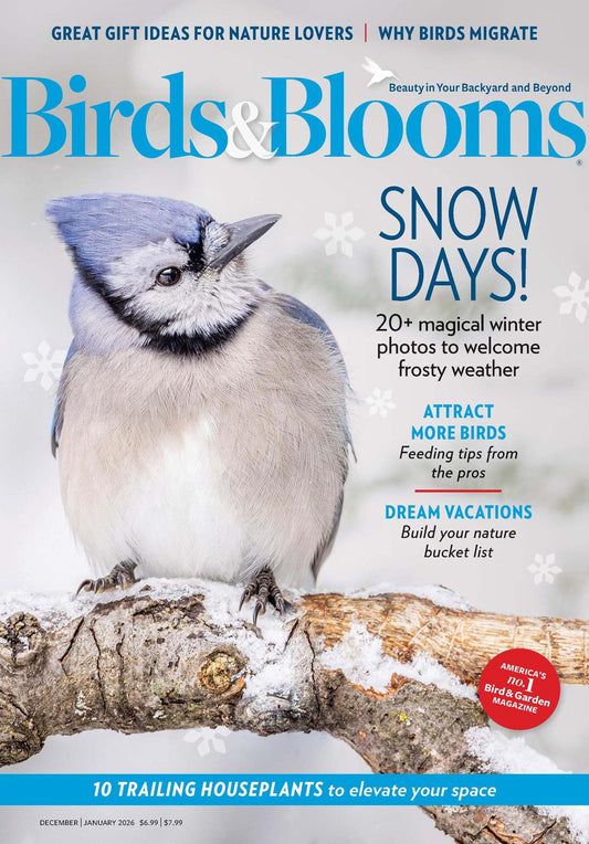Birds & Blooms
