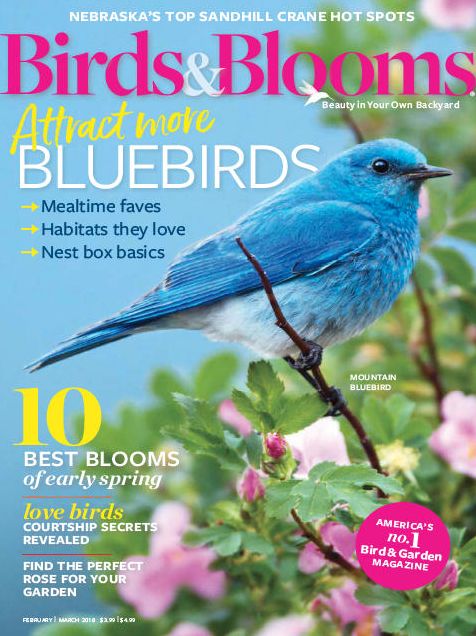 Birds & Blooms
