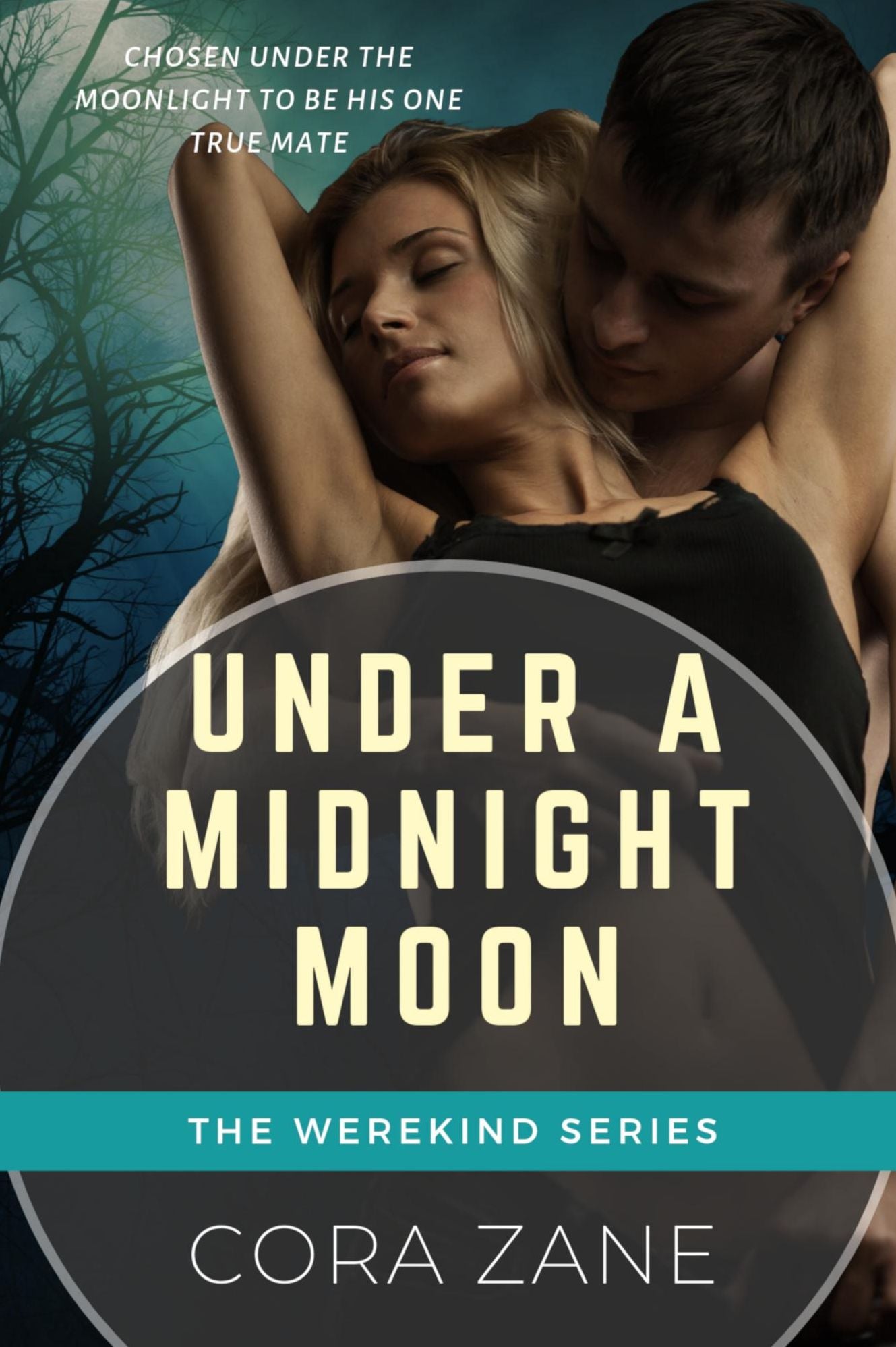 Under A Midnight Moon