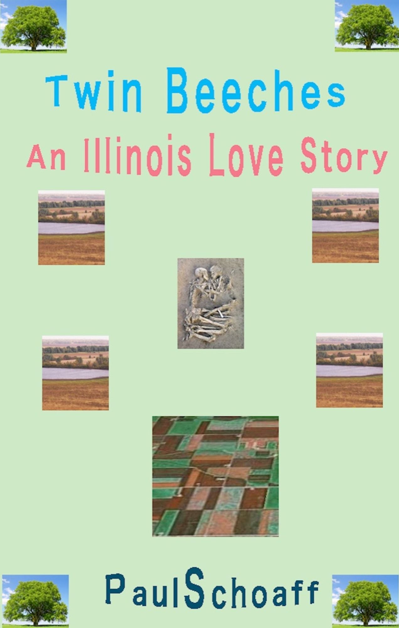 Twin Beeches: An Illinois Love Story