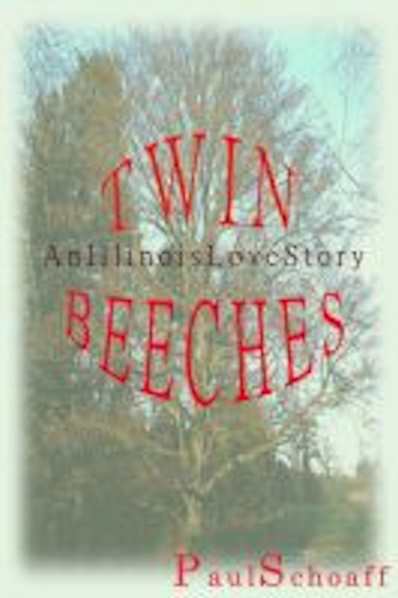 Twin Beeches: An Illinois Love Story