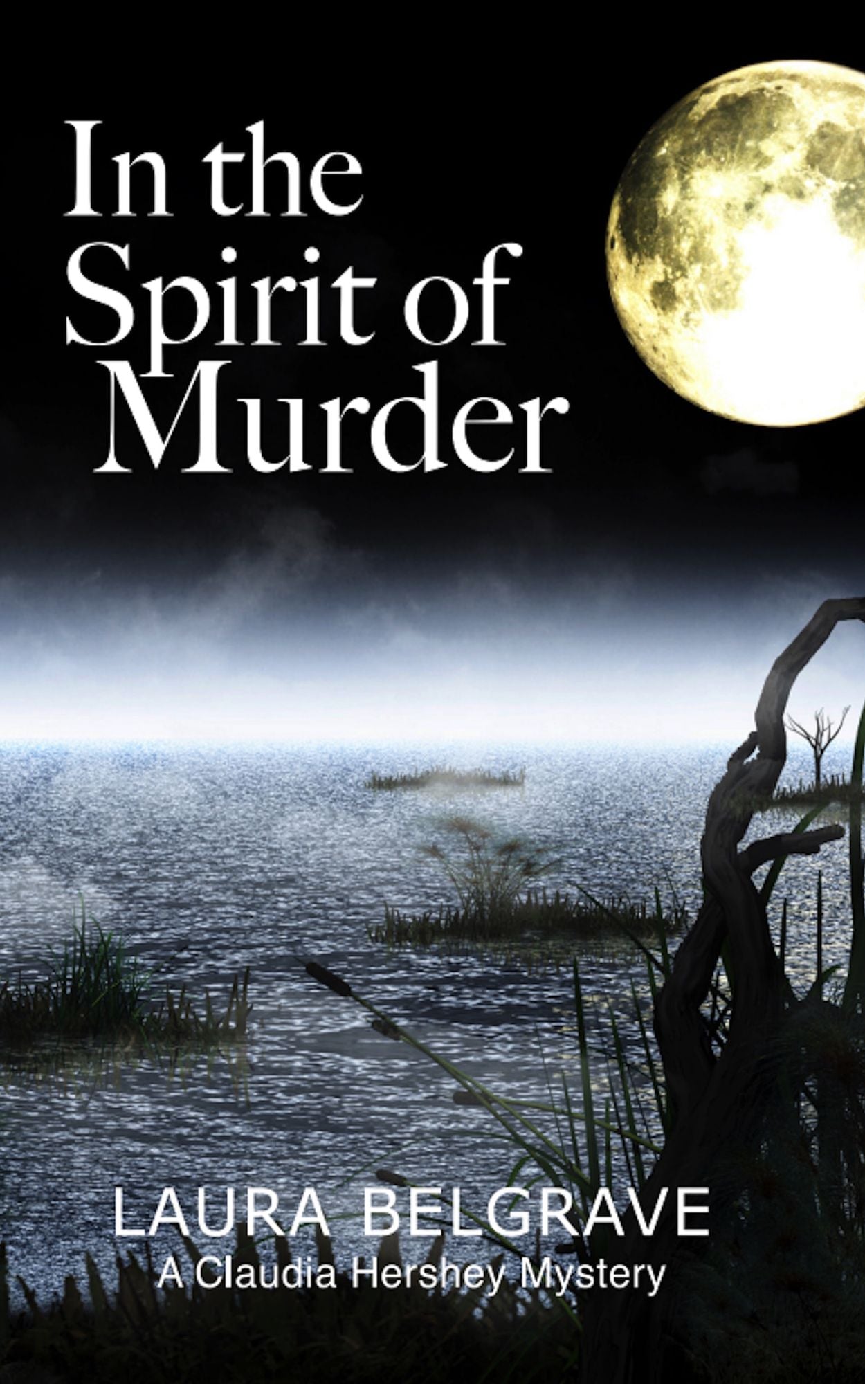 In the Spirit of Murder