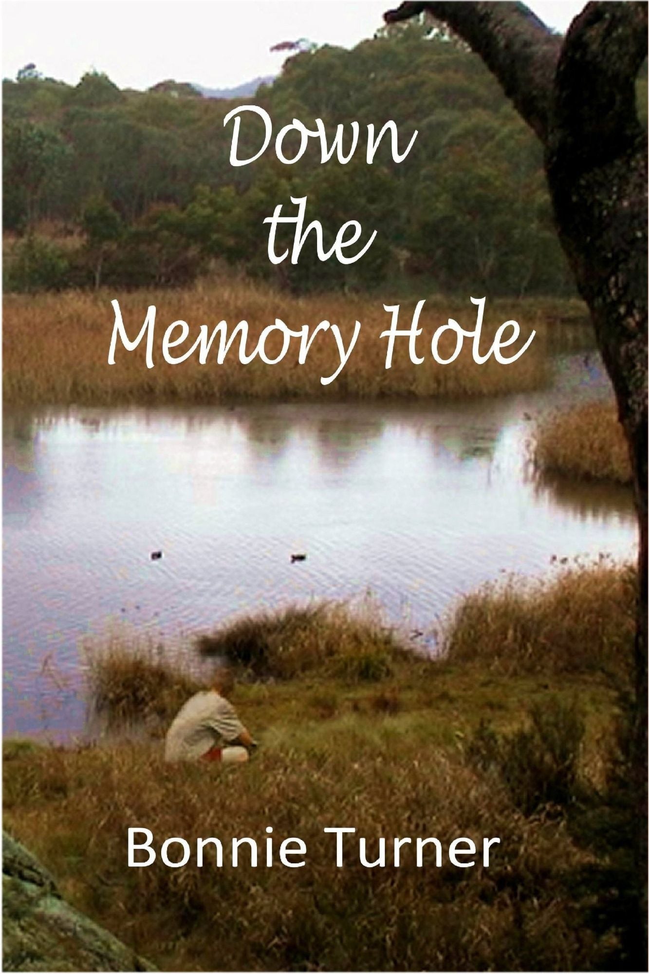 Down the Memory Hole